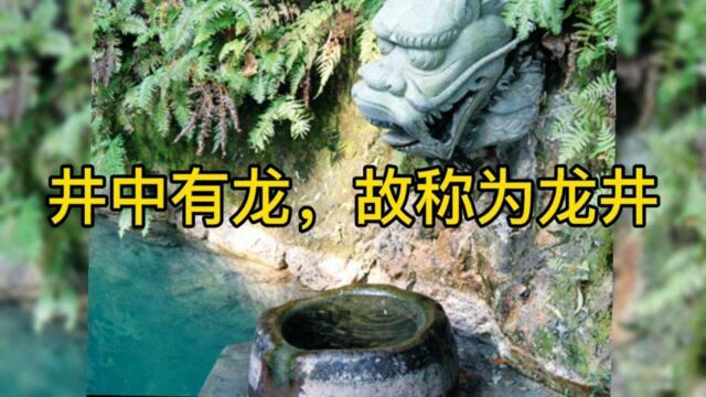 位于杭州西湖西南的翁家山是龙井村,此泉通往大井中有龙称为龙井