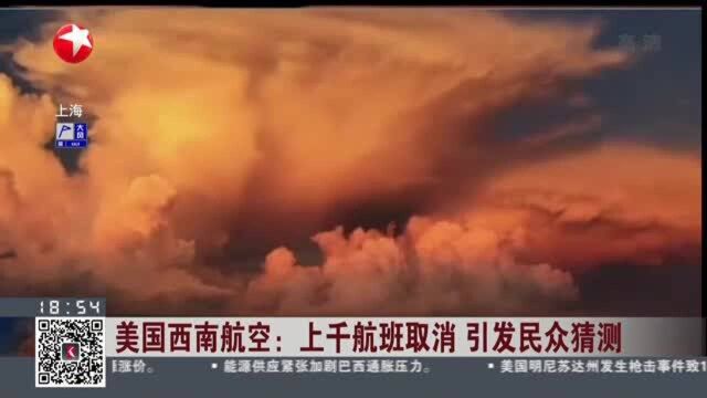 美国西南航空:上千航班取消 引发民众猜测