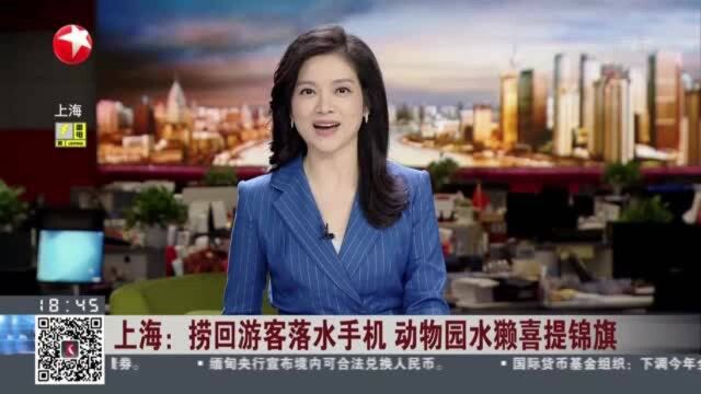 上海:捞回游客落水手机 动物园水濑喜提锦旗