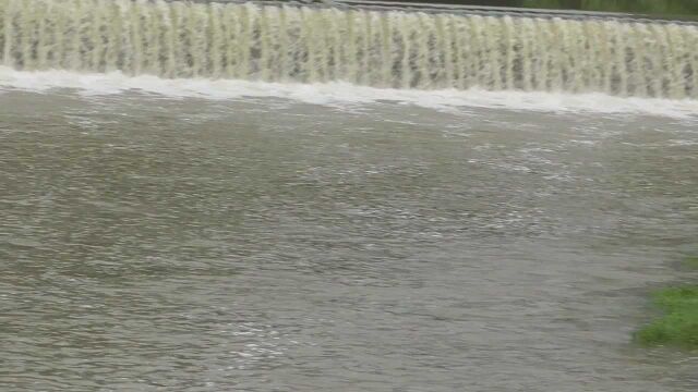 雨后出钓塘角鱼,被小杂鱼闹窝悔气收竿