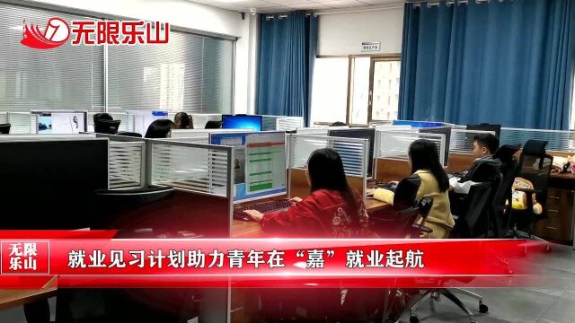 就业见习计划助力青年在“嘉”就业起航