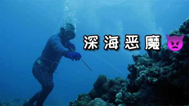 河中巨怪:世界各地都流传着海蛇的传说!杰叔带你寻找它们的真身