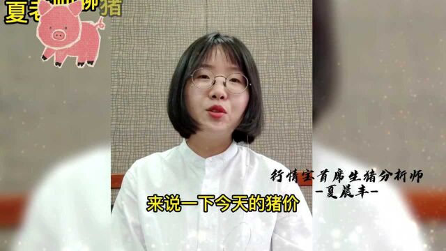 11.2最新全国生猪价格表:8元猪价获得强支撑,今天还涨吗?