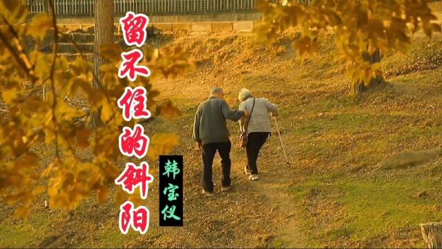 韩宝仪经曲《留不住的斜阳》70后的经典老歌,悦耳动听,回味无穷