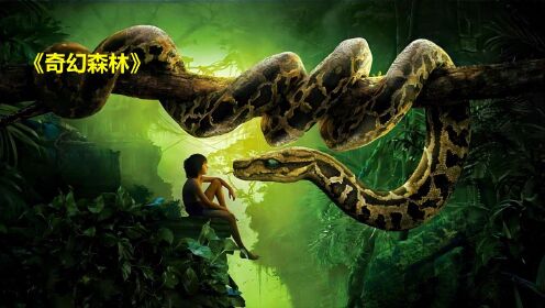 一个被狼群养大的男孩，8岁就单挑老虎！