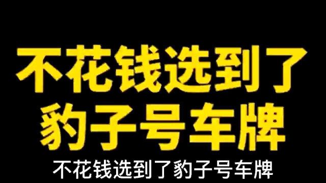 新车选不到好号怎么办?汽车120次选号的方法,学会赚大了!