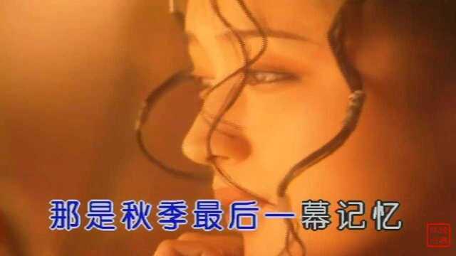 怀旧老歌《落花》,可能你没听过的歌曲,但这是杨钰莹唱的歌