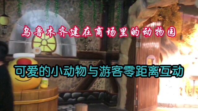 乌鲁木齐建在商场里的动物园,可爱的小动物与游客零距离互动