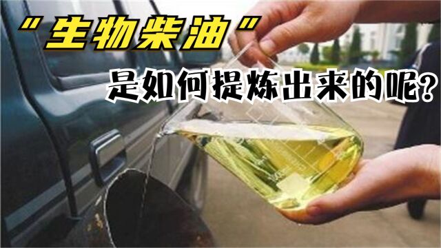 生物柴油是如何提炼出来的?各种垃圾回收再利用,低碳又环保