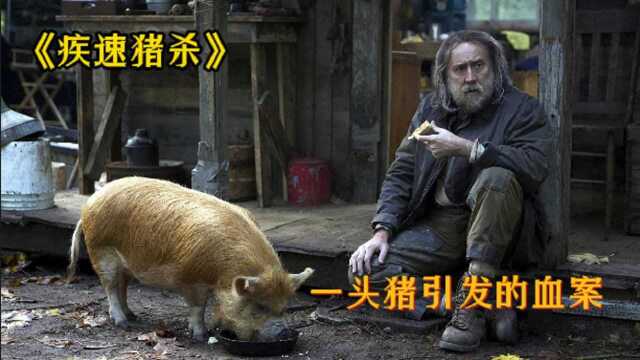 尼古拉斯凯奇2021新片《疾速猪杀》一头猪引发的血案