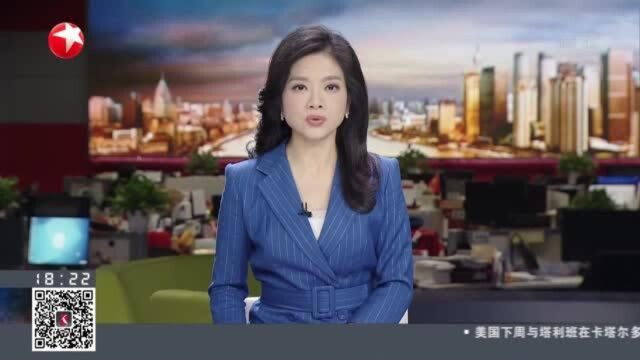 记者观察:宠物殡葬温情背后 行业监管能否跟上?