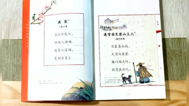 “新母语”系列(46年级)出版