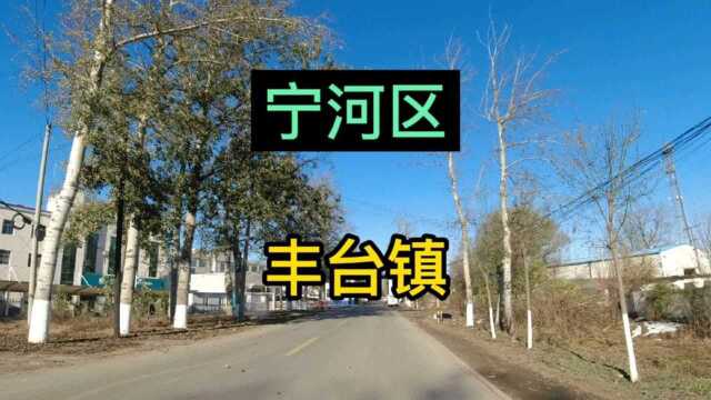 天津市宁河区第《9》个视频,丰台镇实地考察