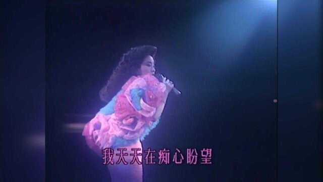 徐小凤1989演唱会,《人生满希望》,现场版