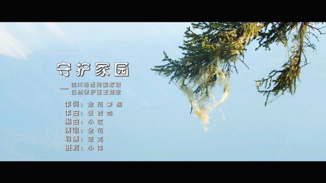 五小叶槭故乡格西沟主题曲