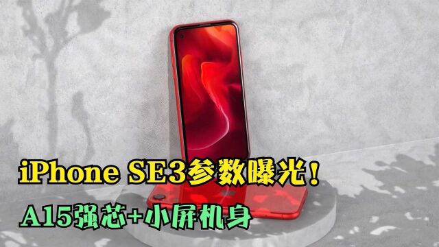 iPhone SE3参数曝光!A15强芯+小屏机身,价格在3千元左右!