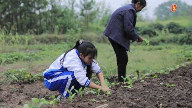 【寻找最美孝心少年ⷩ›𖩙𕣀‘何琴:10岁赚钱为爷爷治病