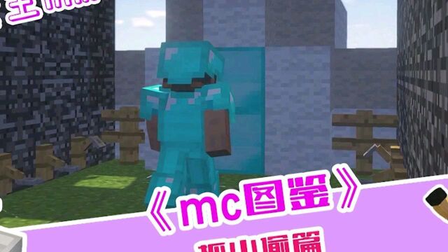 我的世界:MC图鉴,围观的建筑