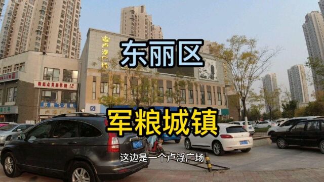 天津市东丽区第《3》个视频,军粮城镇实地考察