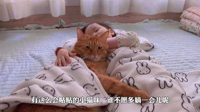 猫咪公主和猫咪们的冬日早餐派对