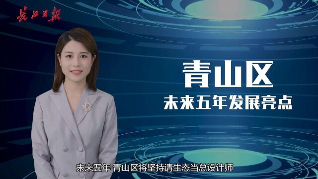 AI主播读报告 | 青山区将打造长江经济带绿色发展示范引领区