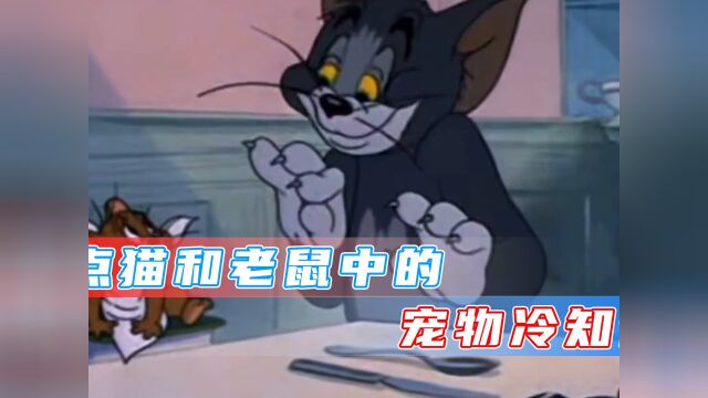 盘点猫和老鼠中你不知道的宠物冷知识,汤姆到底是只什么猫?#宠物冷知识 #猫和老鼠 #动漫杂谈