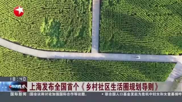 上海发布全国首个《乡村社区生活圈规划导则》