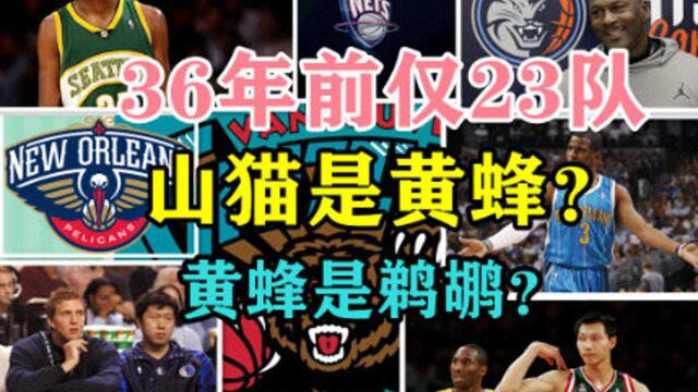 NBA球队数量名称变化,36年前仅23队,山猫是黄蜂,黄蜂是鹈鹕?