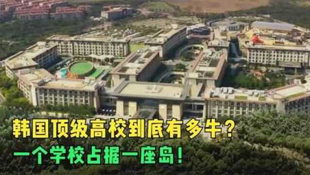 韩国顶级高校是什么样的?看完令人咋舌,高分韩剧