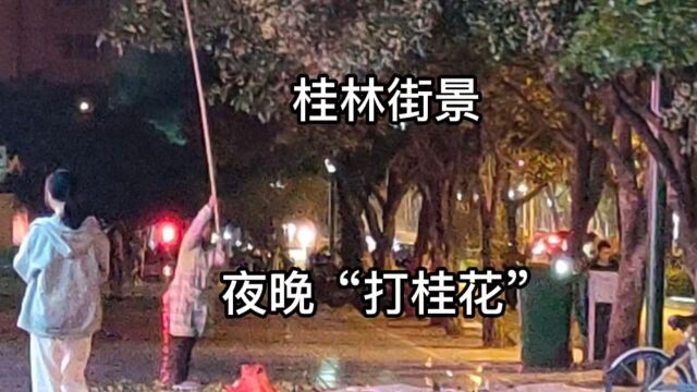 罕见的人间奇景,桂林山水街景:夜晚“打桂花”