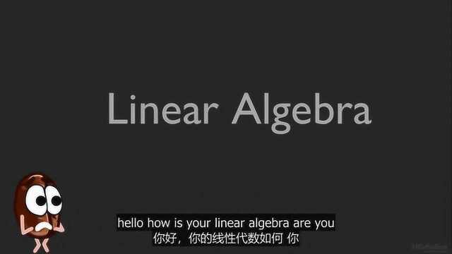 Linear algebra with Transformers – Paper Explained字幕