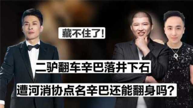 辛巴再次被点名!3年打造快手第一家族,直播亏两千万竟状告平台