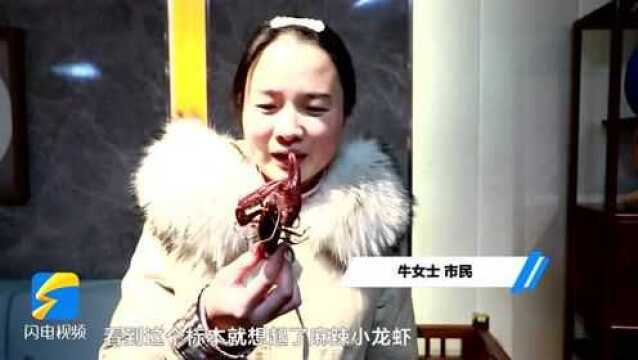 东营董涛:小到小龙虾大到座头鲸 12年制作动物标本2000余件