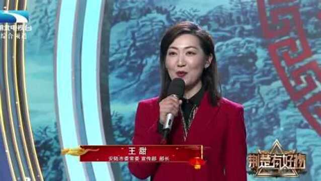 仙居福地 诗画安陆 甜美部长为家乡安陆代言!