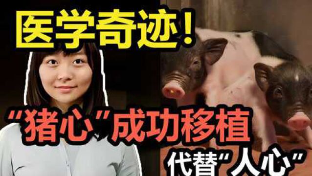 80后哈佛女学霸打造最“硬”科技,带火了一条赛道