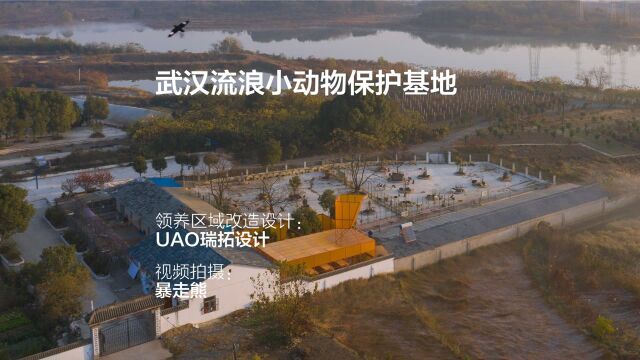 武汉流浪小动物保护基地领养区域改造设计 | UAO瑞拓设计