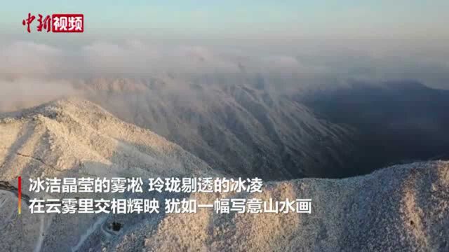 江西武宁太平山现壮丽云海雾凇景观