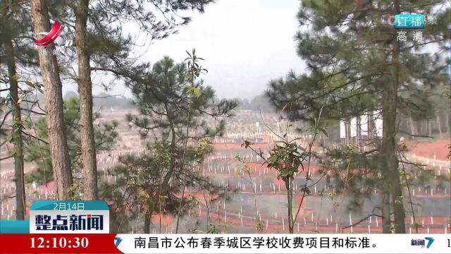 芦溪:推进国家储备林建设 助力打造美丽乡村