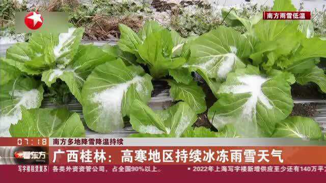 南方多地降雪降温持续:广西桂林——高寒地区持续冰冻雨雪天气