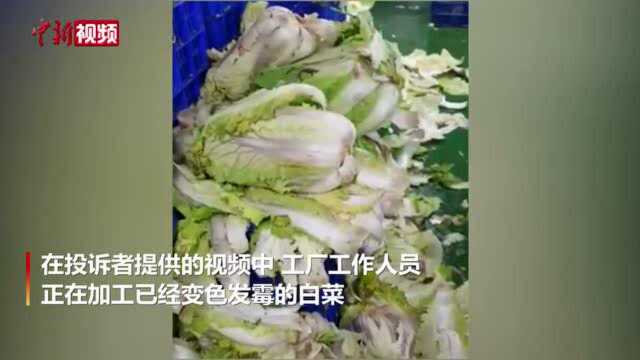 韩国知名泡菜制造商被曝使用腐烂白菜