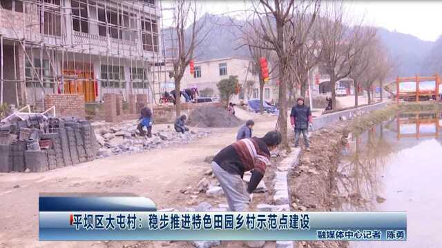 平坝区大屯村:稳步推进特色田园乡村示范点建设