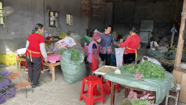 60岁奶奶投资1000元,做起偏门加工行业,没想到一年轻松收入30万