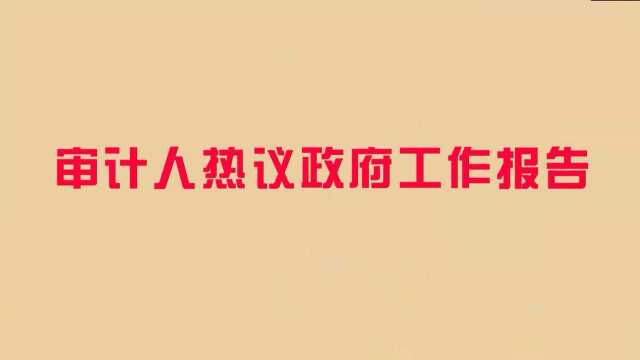 审计人热议政府工作报告——湖北省审计厅李亚运