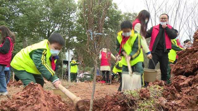 娄星区开展“美丽家园 文明有我”3.5学雷锋集中植树活动