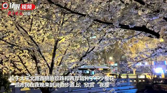 视频 | 错峰赏花市民观“夜樱” 南京这条街边小河春色藏不住