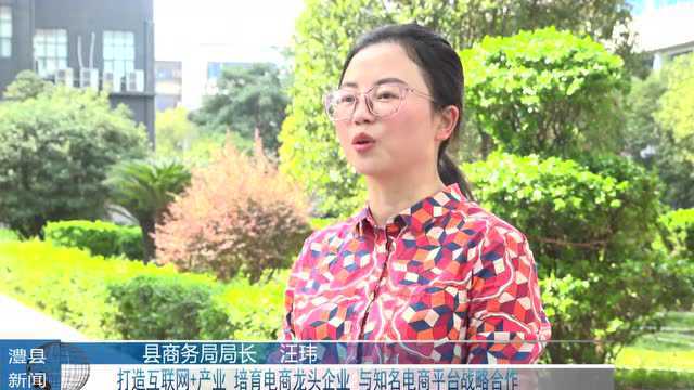 落实《澧县政府工作报告》专访|澧县商务局局长汪玮