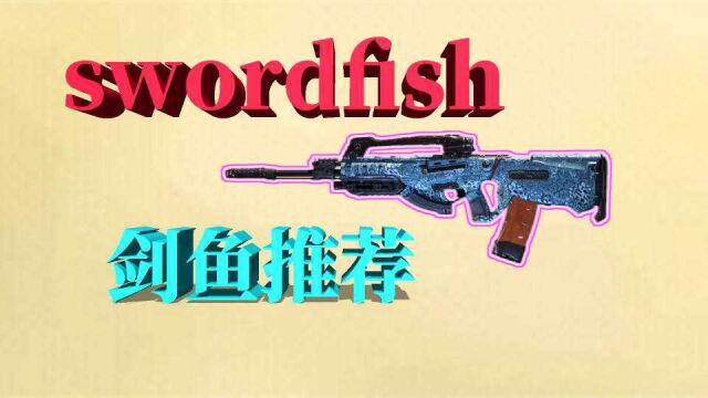 使命召唤手游:自带倍镜,swordfish配件推荐