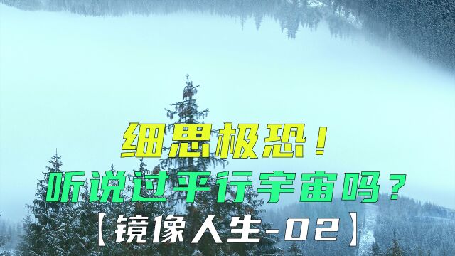 如果能回到过去或未来,你最想做什么事?《镜像人生02》