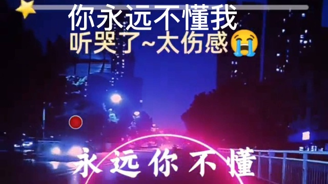 你永远不懂我》