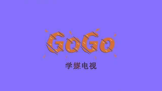 GoGo丨第五期:采访里的辛酸